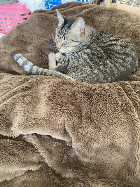 34EF8E4F-608F-4D6F-86CA-997CAB73BDE7