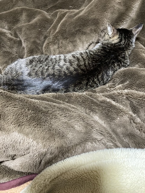 4CB56F2B-E757-4E7C-A80F-69D56400DECB