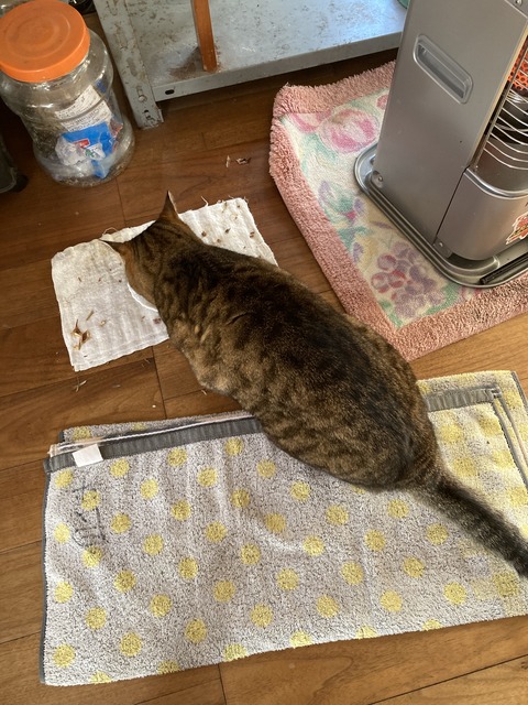 2827514D-E7EB-4F26-8490-B5E14BF66532