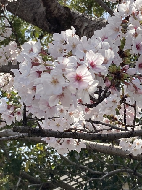 E17E8F6D-2B87-47FC-AD94-EF33E2BD1901