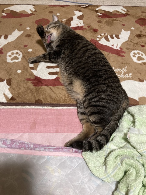 A5BB479B-5A88-43C8-81A9-A3953CD89972