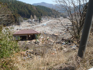 20110413_4130144牡鹿半島桃浦