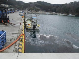 20160309_065牡鹿半島福貴浦