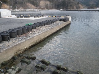 20160302_067雄勝大浜