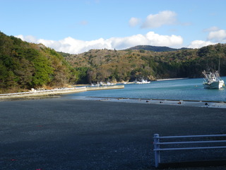 20121121_024牡鹿半島鹿立