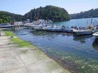 20140528_095牡鹿半島小渕浜