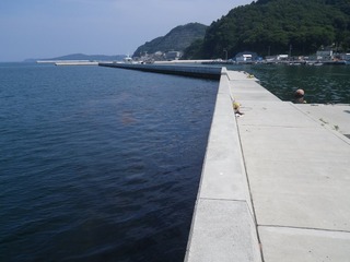 20150715_040女川小乗浜