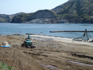 20110504_058女川石浜