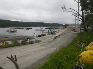 20130612_014牡鹿半島鹿立