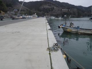 20160309_022牡鹿半島折浜