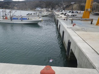 20160309_074牡鹿半島給分浜