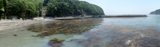 20150520_001牡鹿半島西部蛤浜_stitch