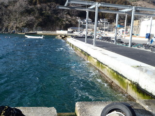 20120215_034雄勝桑浜