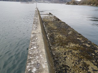 20130227_007女川桐ヶ崎