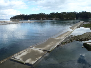 20111210_034潜ヶ浦航路