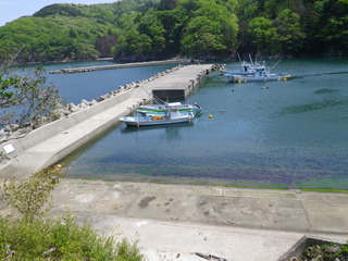 20120516_018女川高白