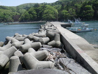 20120516_017女川高白