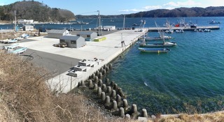 20150305_022女川指ヶ浜_stitch