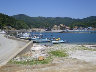 20140528_080牡鹿半島小網倉