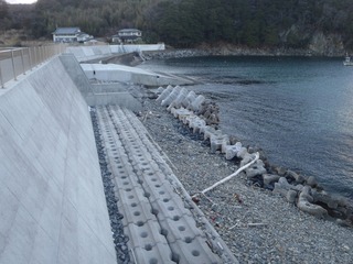 20220204_016志津川町滝浜