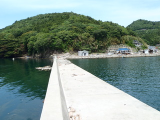 20110608_040牡鹿半島月浦