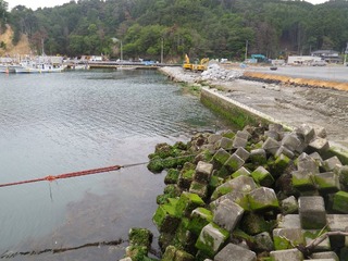 20130612_015牡鹿半島鹿立