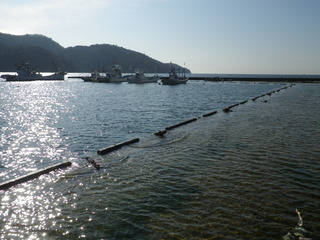 20120118_017牡鹿半島桃浦