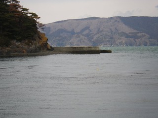 20130220_072牡鹿半島真黒浜