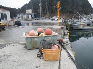 20150226_055牡鹿半島西部小淵