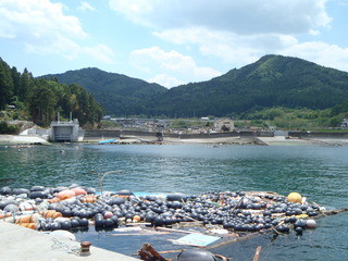 20110525_013旧志津川町南部滝浜