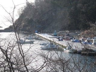 20140115_016牡鹿半島折浜