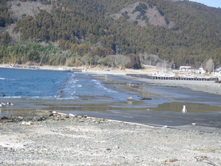 20120118_020牡鹿半島桃浦