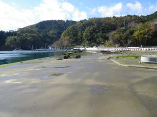 20111116_013女川竹浦