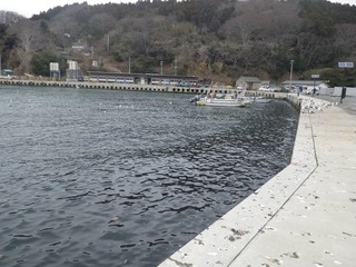 20160309_056牡鹿半島狐崎