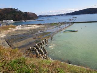 20121205_037女川指ヶ浜