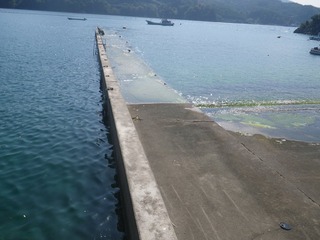 20140806_049雄勝小島