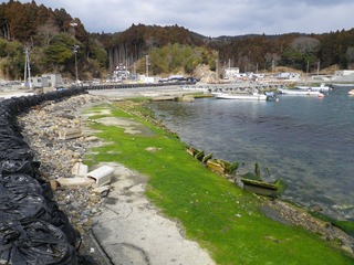 20130220_081牡鹿半島福貴浦