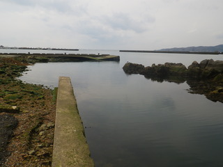 20120328_032牡鹿半島表浜