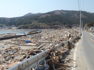 20110413_4130143牡鹿半島桃浦