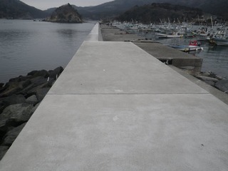 20150226_067牡鹿半島西部表浜