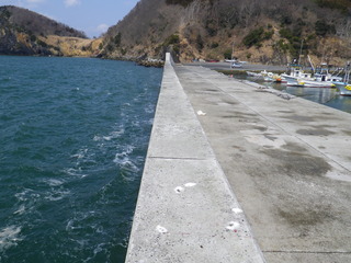 20120328_054牡鹿半島狐崎