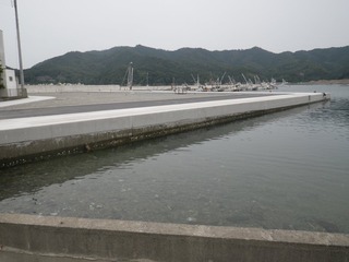 20150715_063女川指ヶ浜