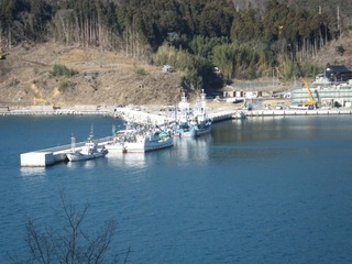20140115_029牡鹿半島桃浦