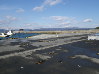 20120111_008旧志津川町南部津ノ宮