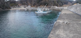 20220204_010十三浜小指_stitch