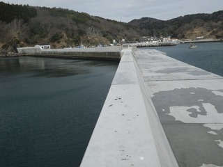 20150408_046牡鹿半島狐崎