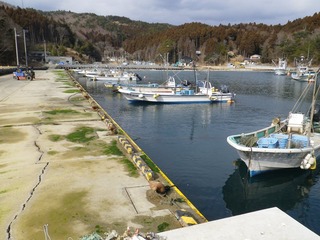 20130220_078牡鹿半島鹿立