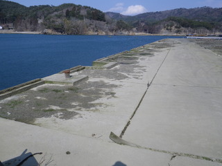 20120328_067牡鹿半島小積浜