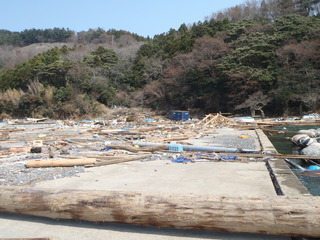 20110413_4130139牡鹿半島月浦