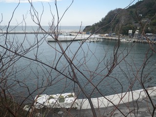 20141105_023牡鹿半島西部狐崎